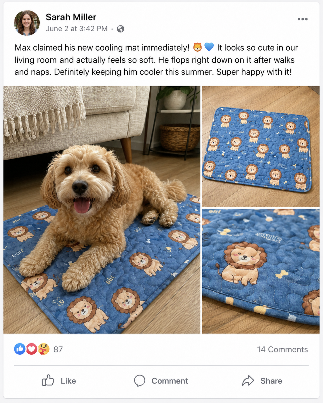 Customer review image 